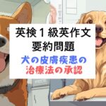 英検1級英作文対策｜要約問題：犬の慢性皮膚疾患に対する新たな治療法の承認